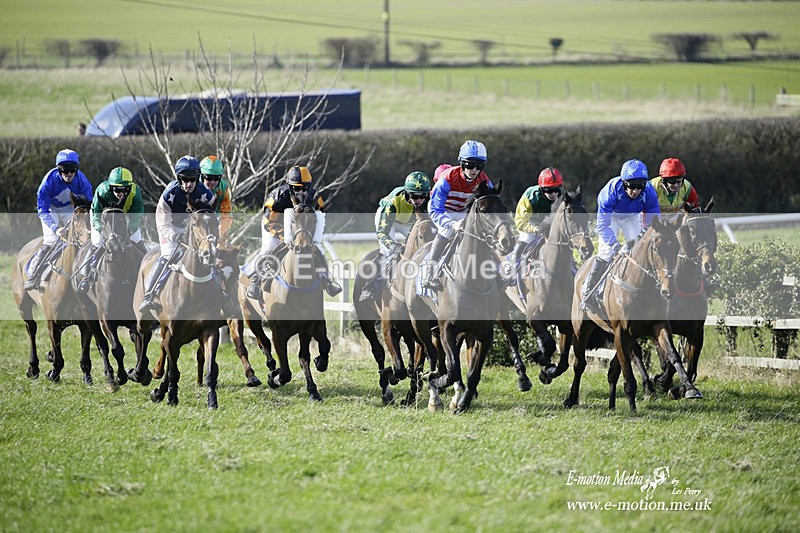 PtP 260222 39 - Kingston Blount Racing Club Point-to-Point 26/02/22