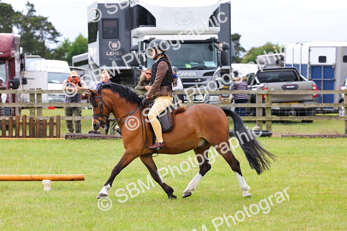 SBM_08611 - Class 42-43 - LIHS BSPS Heritage Working Sports Pony
