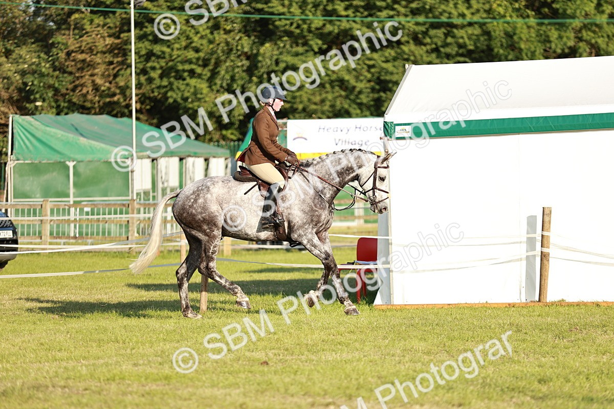 SBM_20450 - Class 117-119 - Sport Horse Working Hunter