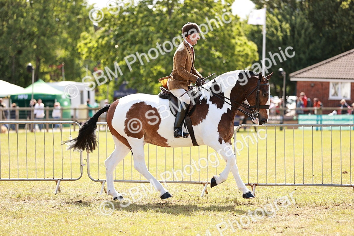 SBM_14018 - Class 85-87 - RIHS Cobs