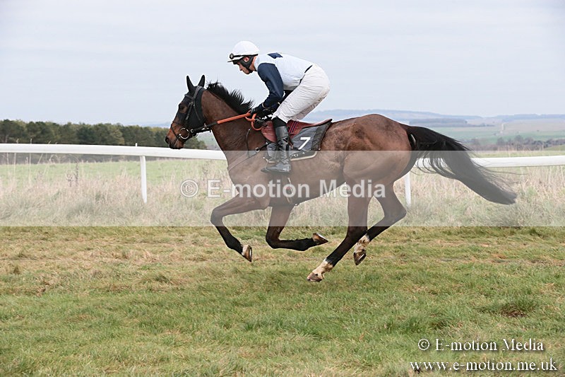 PtP 060119 187 - Larkhill Racing Club - Point-to-Point- 06/01/2019