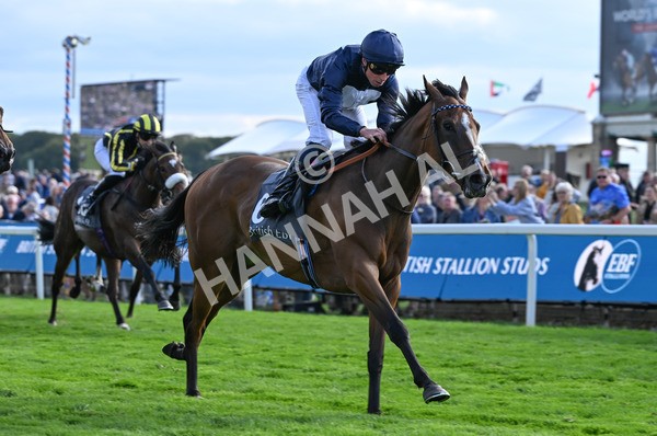 210825-253 Royal Velvet - Race 7 5.20pm British EBF Fillies' Handicap