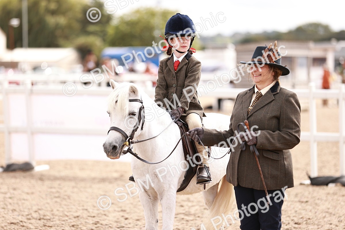SBM_18328 - Class 417 - Handsome Gelding (IH or Ridden - JNR)