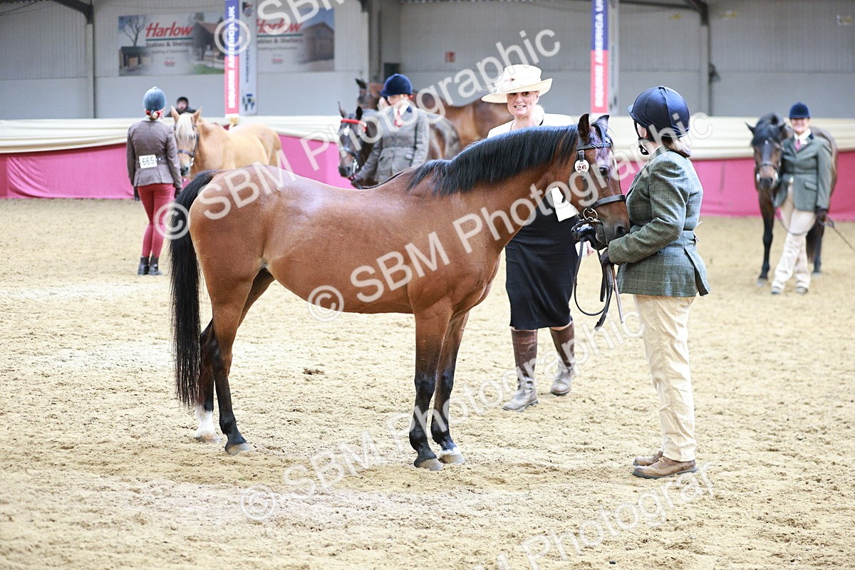 SBM_04844 - Class 7R - Regional IH Diamond