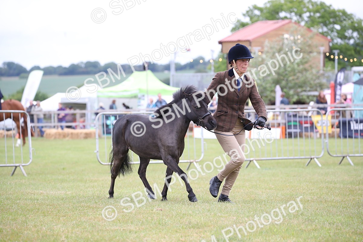 SBM_03945 - Class 23-25 - British Miniature Horse of the Year