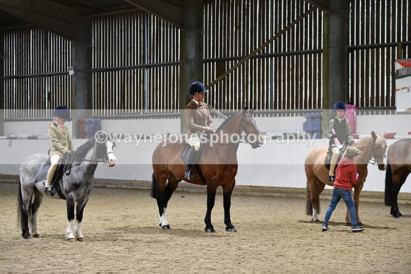 WJ5_8727 - Class 14 Novice Ridden/Rider