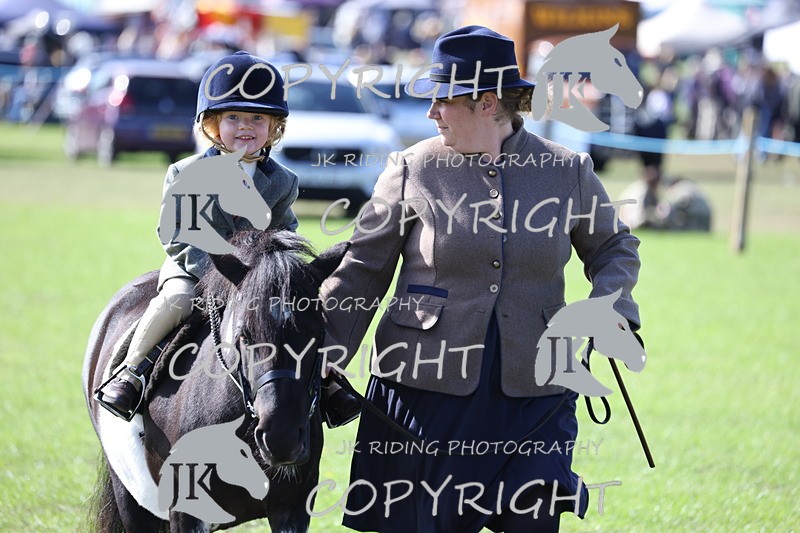 APP_3907 - Class 13 Lead rein