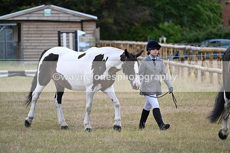 WJ7_9060 - Class 4a Prettiest Mare 14.2hh and over