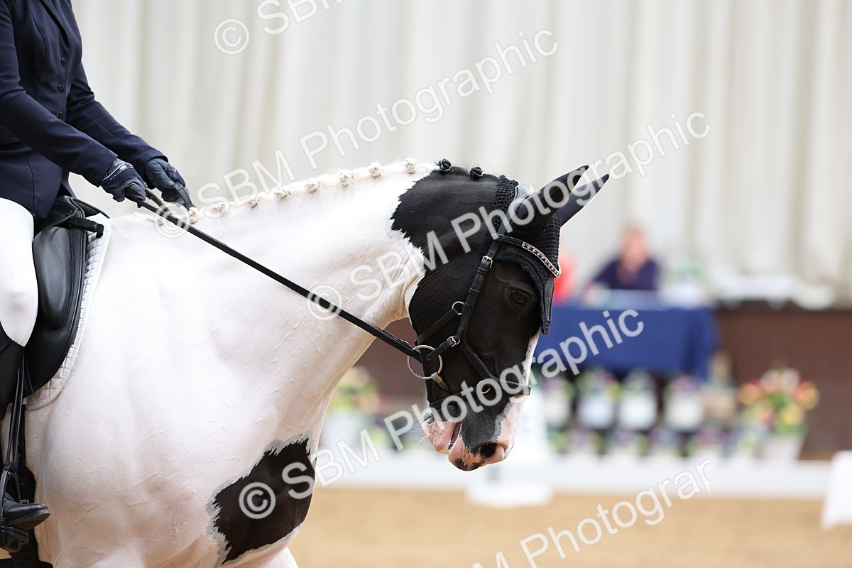 SBM_017203 - Class 16 - Novice FSM - 13.02-13.58