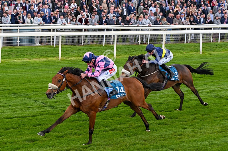 150526-Race 1-Zarathos-0063 - Race 1 1.45pm Yorkshire Equine Practice Handicap