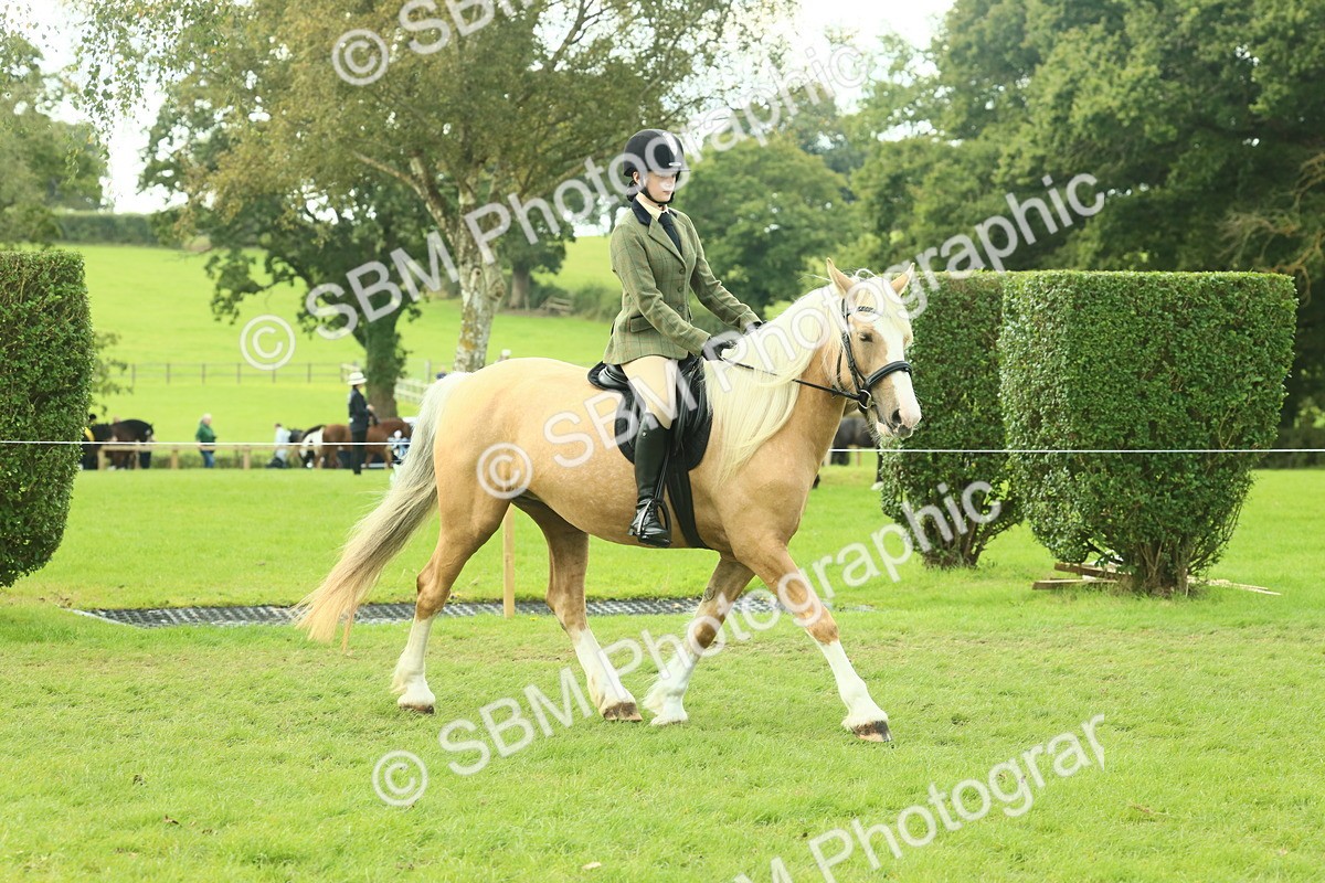 SBM_62576 - S63 - Other Coloured Horse Ridden