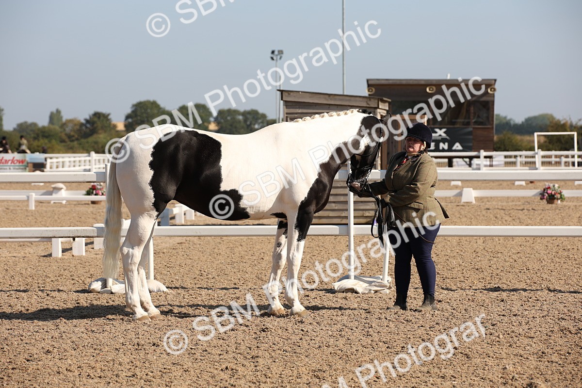 SBM_01490 - Class 15 IH Coloured