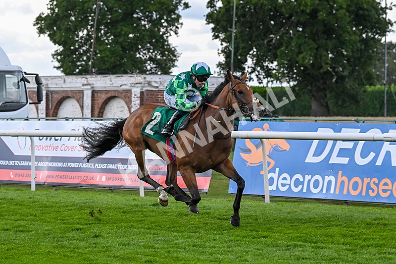 080825-Race 5-Paddy The Squire-2675 - Race 5