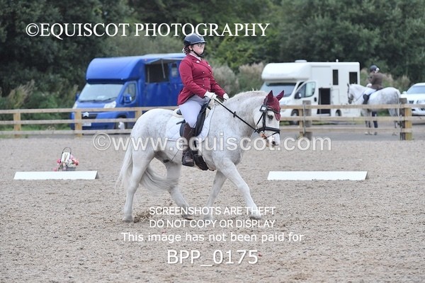 BPP_0175 - NOVICE 4 & 6