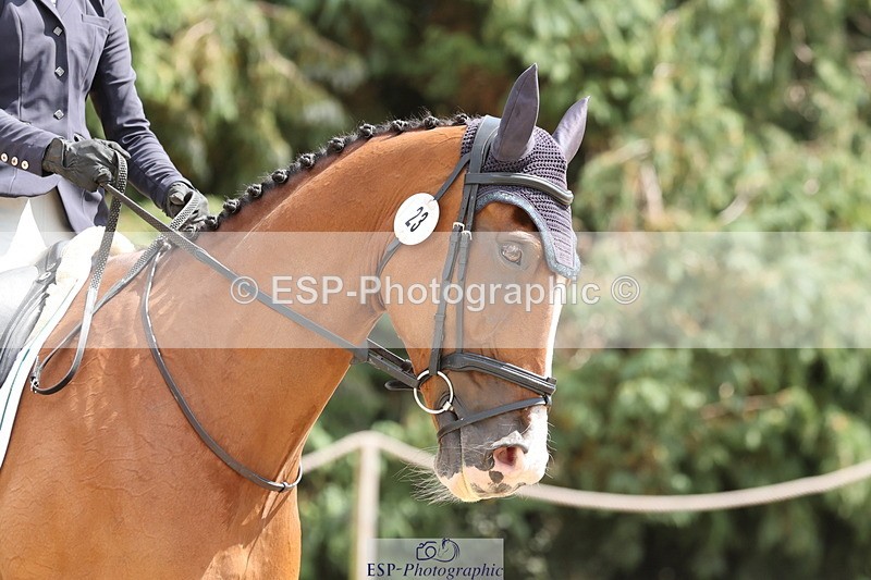 250809A-142404-03986 - 023-Abbie.BurbidgeFeeling.Fantastic