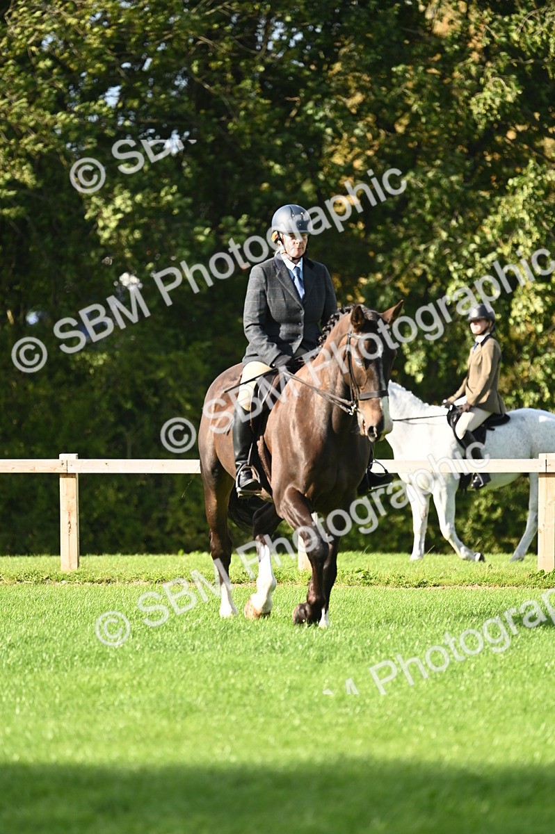SBM_26428 - S6 - Novice & newcomer Ridden horse