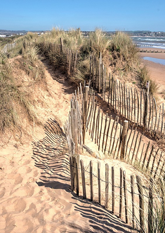 DW44 - Sand Dunes Dawlish Warren - Greetings Cards Dawlish