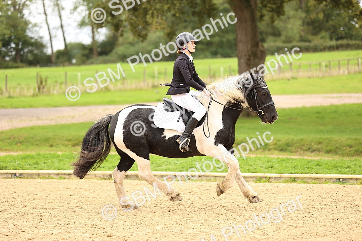 SBM_65574 - J17 - Junior Pony 80cm Championship