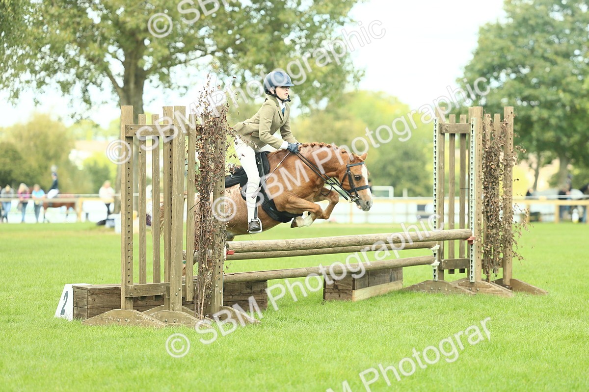 SBM_44669 - S31 - Working Hunter Pony