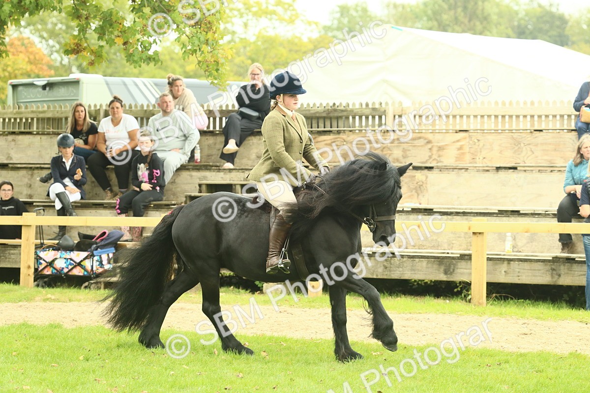 SBM_71942 - S60 - Mountain & Moorland Ridden Large Breeds