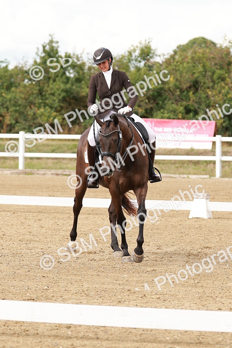 SBM_002404 - Class 11 - Medium 6