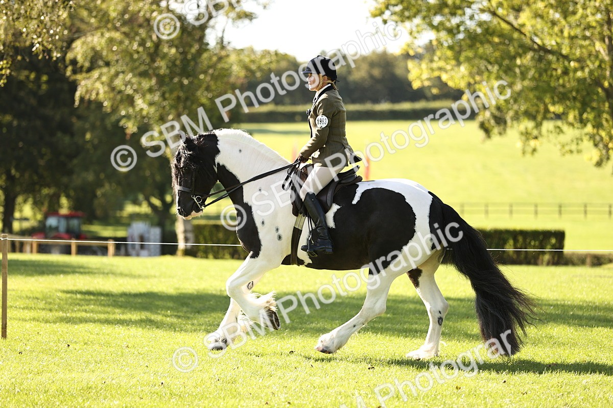 SBM_16932 - S2 - TSR Ridden Pony Showing