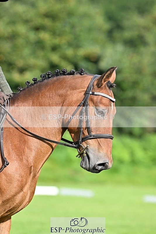 230826-090410-15918 - Sections A & B - 9 to 10am