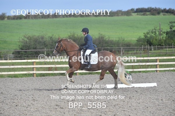 BPP_5585 - MY QUEST OPEN PRELIM TEST 1 + 2