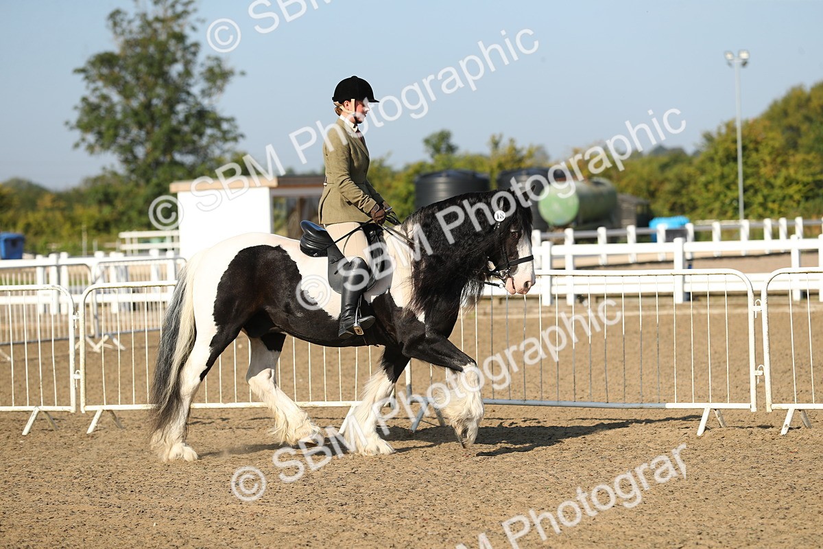 SBM_01113 - Class 42 Ridden Veteran