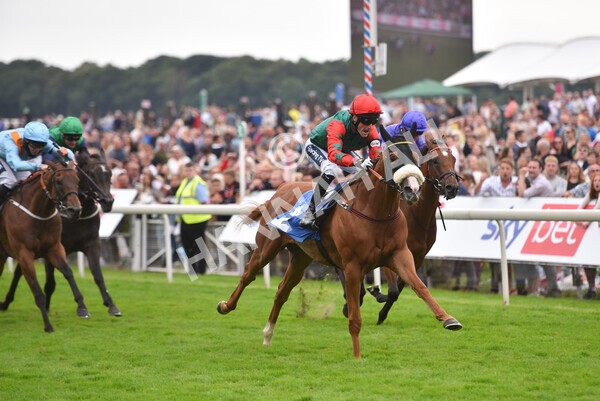 yr24072021r7-53 - Race 7 5.35pm The Sporting Life Fast Results Stakes