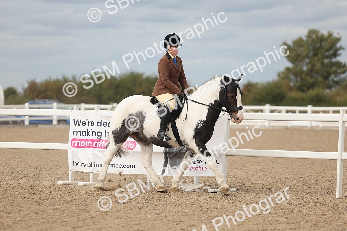 SBM_17983 - Class 314 - Family Horse Pony