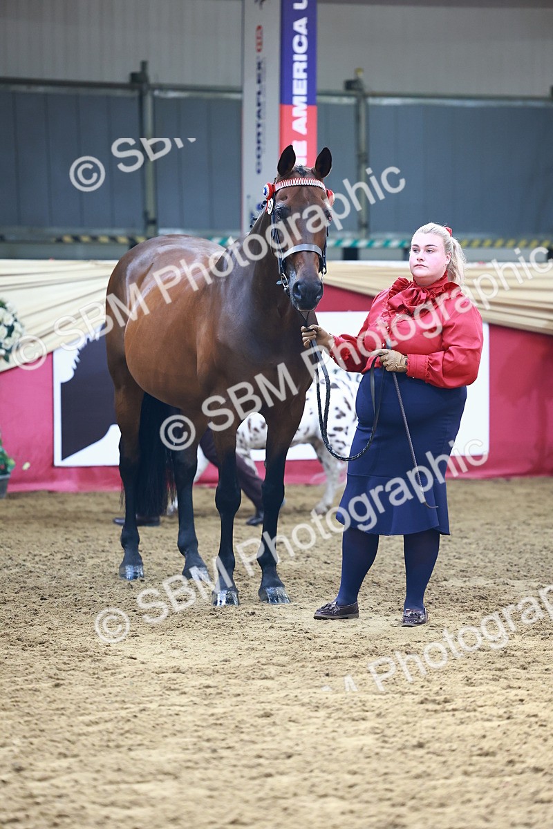 SBM_22305 - Class 902 - Supreme Final - IH Diamond