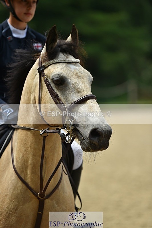 230617-121316-02537 - Cls 09 Blue Chip Pony Newc 1st Rnd