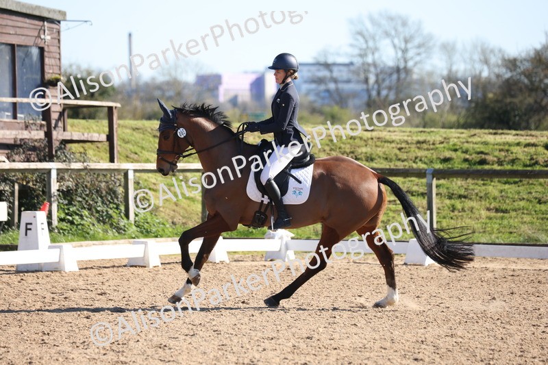 20260318-0800 - Class 7 - Elementary 1