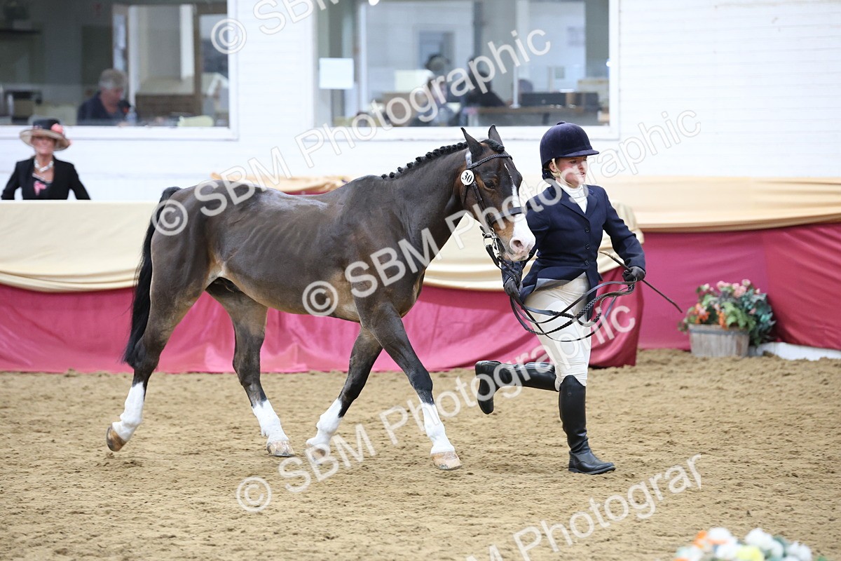 SBM_23640 - Class 904 - Supreme Final - Ridden Diamond