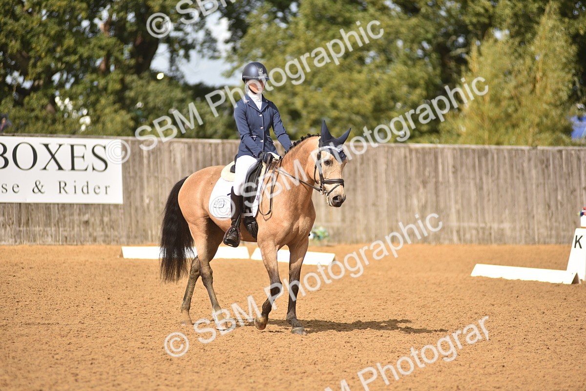 SBM_42301 - D22 - Junior Championship Intro 3