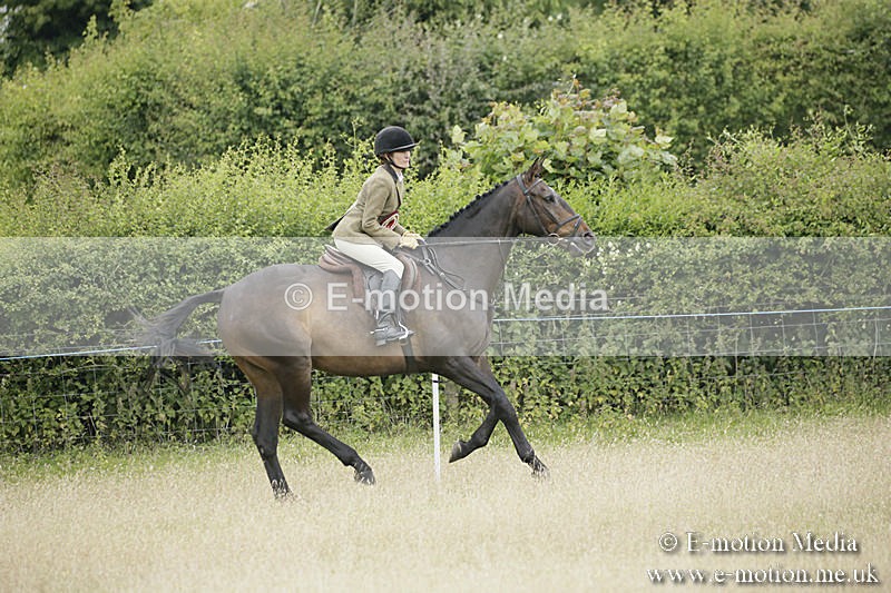 B230619-0976 - Bourne Valley Riding Club Summer Show 23/06/19