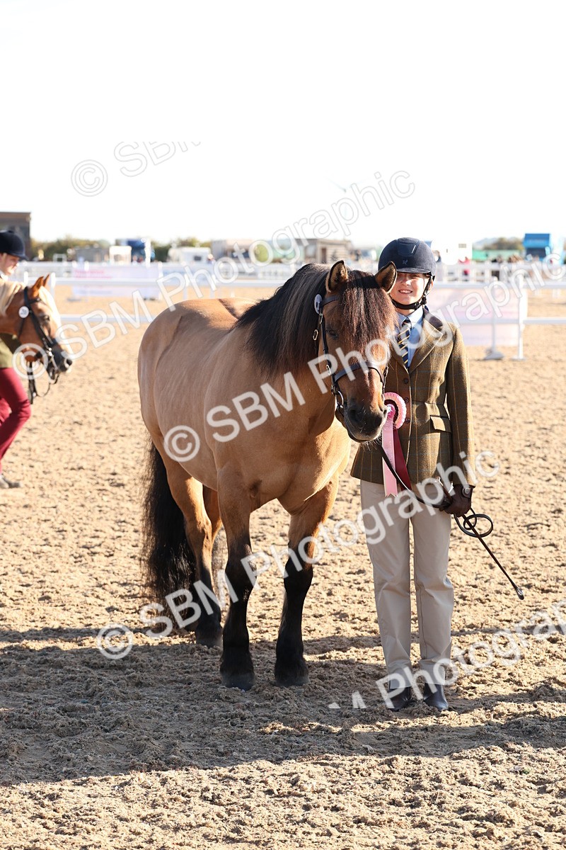 SBM_10809 - Class 201 - Best Turned Out - IH