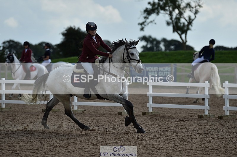 230902A-135854-01558 - Cls 3B Pony Medium 90cm