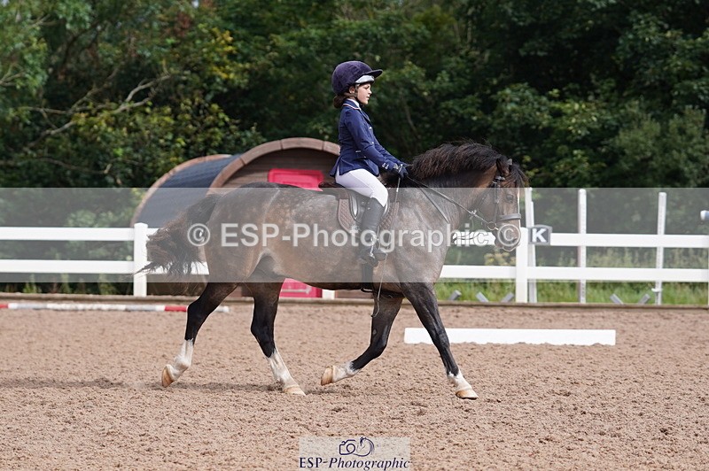 240809A-100102-00396 - Dressage Competition
