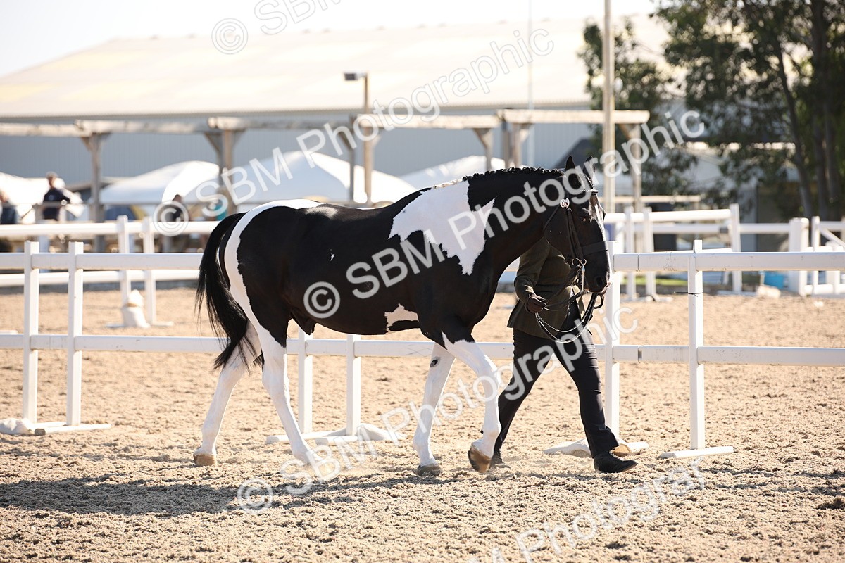 SBM_01439 - Class 15 IH Coloured