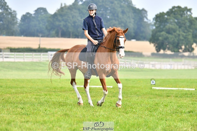 230817-091840-02524 - Abbie's 1st Group - Dressage