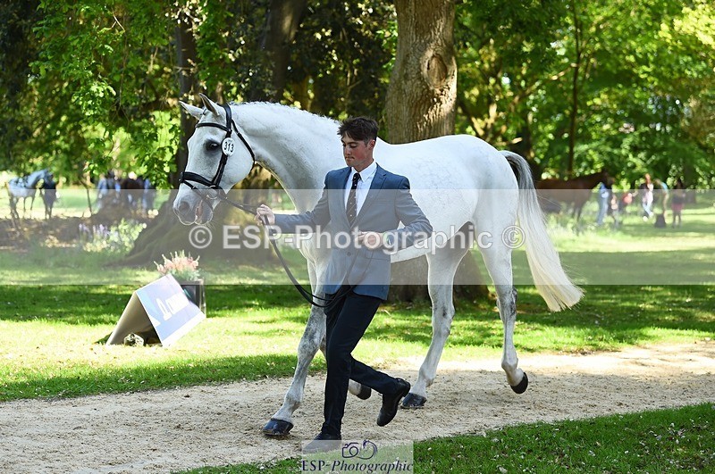 230524-152254-00235 - 313-LOUISBOURG_C-Jack_Whiteford-WEDTrotUp+DR