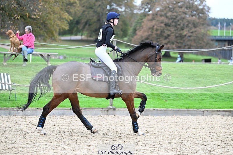 241116-113919-01066 - Cls 2 80-85cm 11.30 to End