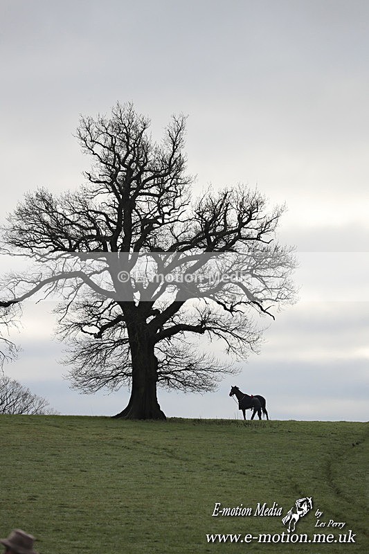 PtP 291224 62 - Harkaway Club PtP Chaddesley Corbett 29/12/24