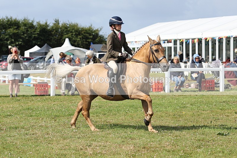 JPP_0838 - Class 16: Cornish Combination Young Rider