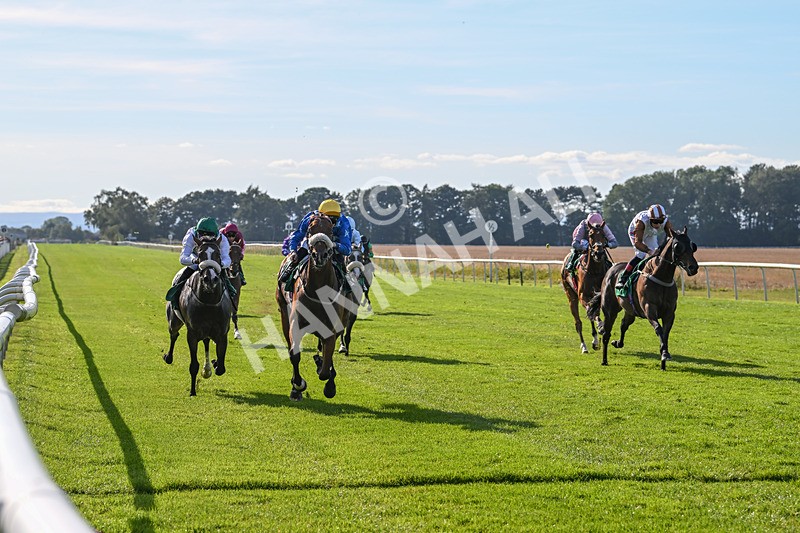 160924-Race 5-King Of The Jungle-2966 - Race 5