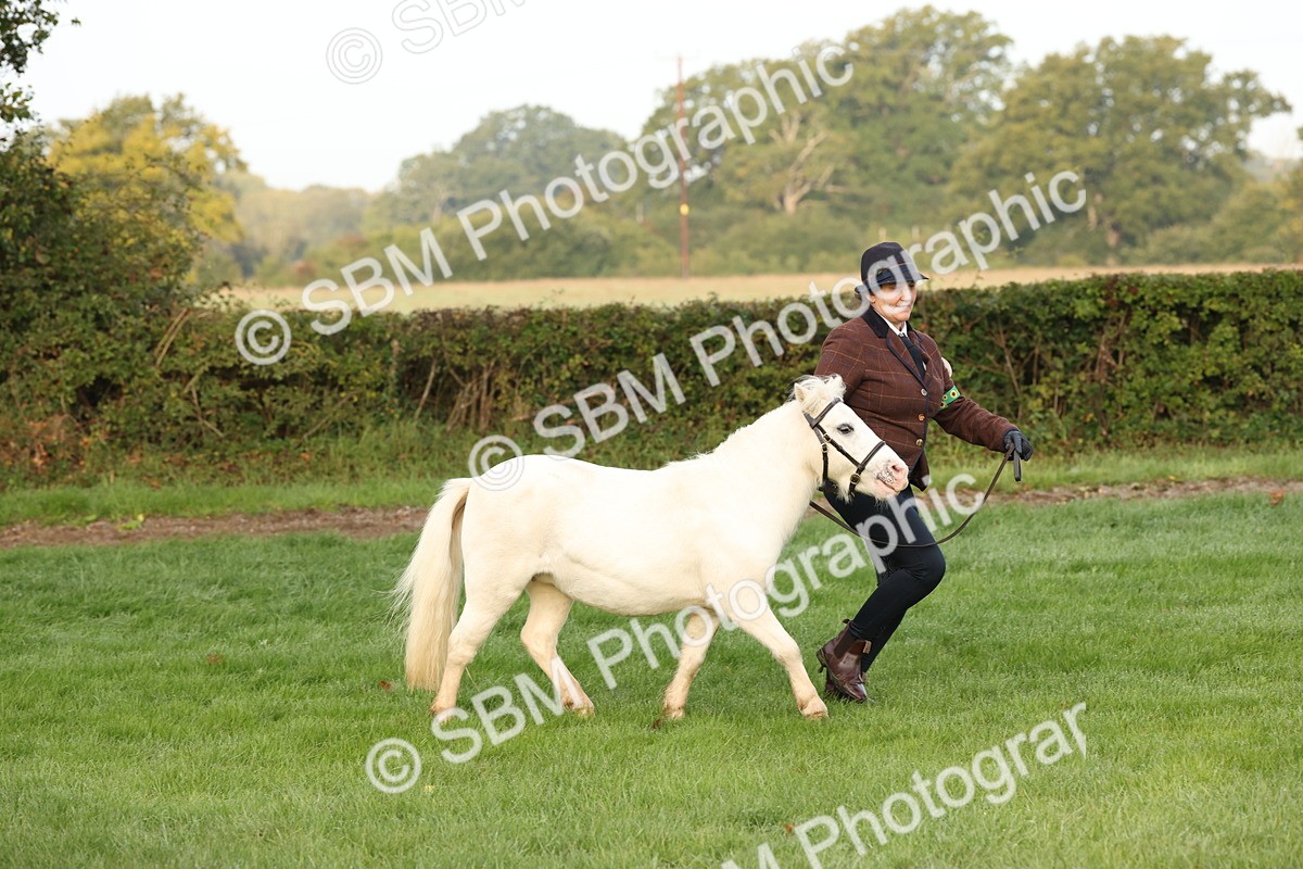 SBM_54401 - S51 - Foreign Breeds In Hand