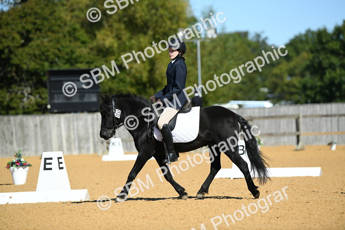 SBM_18176 - D4 - Small Tour Championship - Intro B