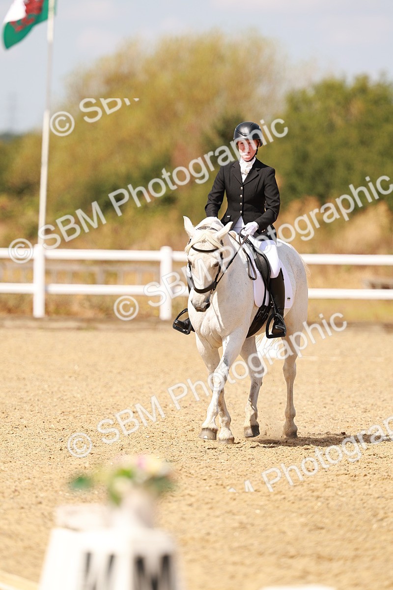SBM_018553 - Class 9 - N5 Bronze 11.57.13.07